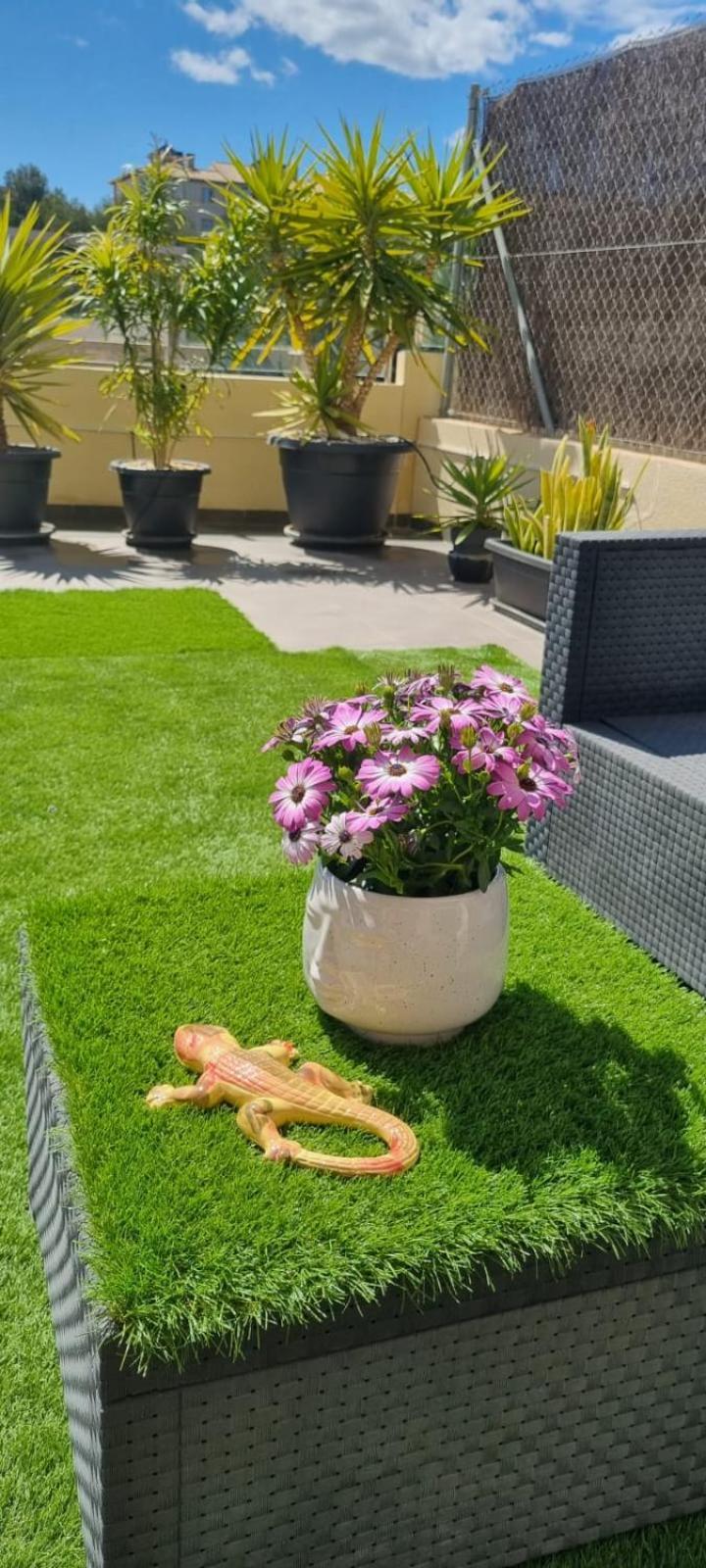 La Zenia Sabrina Apartment 5 Orihuela Bagian luar foto